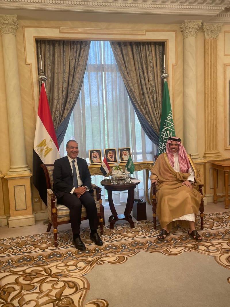 القاهرة والرياض تؤكدان ضرورة هدنة إنسانية في السودان