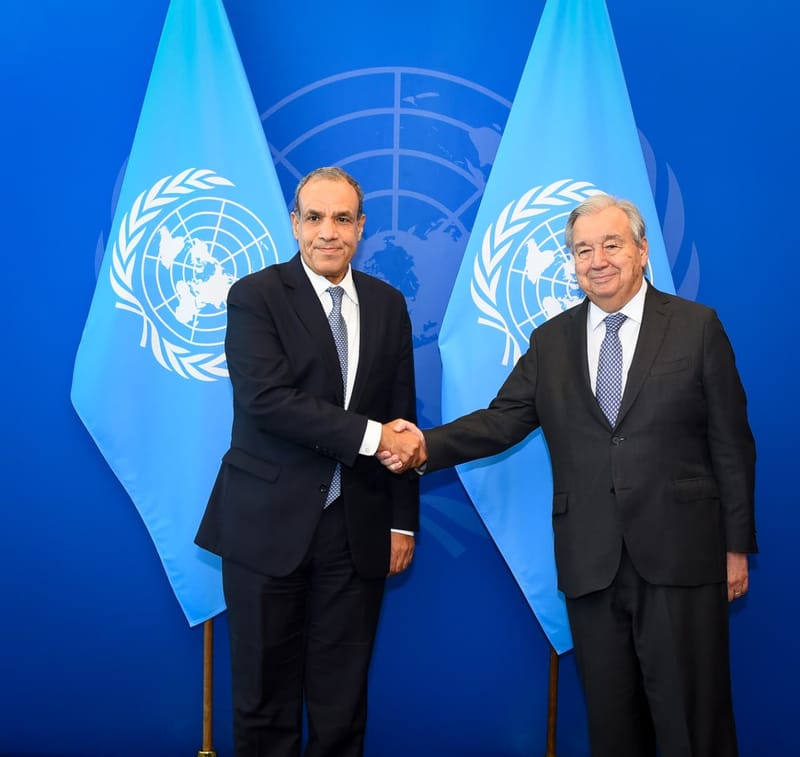 وزير الخارجية المصري يؤكد دعم استقرار السودان