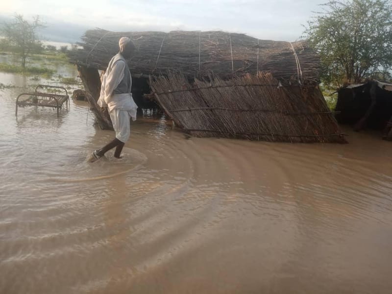 IOM: 100 families displaced by Nile floods in Jebel Awliya