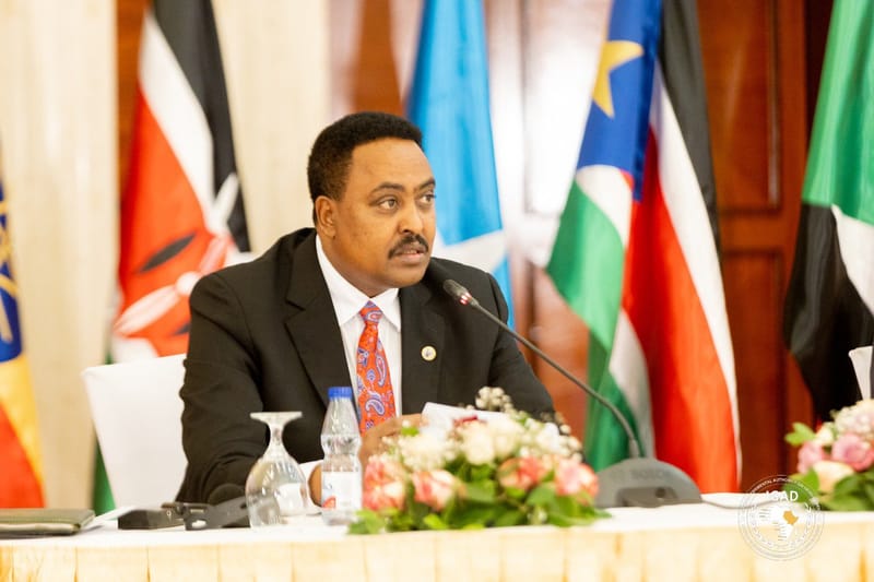 الأمين التنفيذي لإيغاد يدين العنف في دارفور