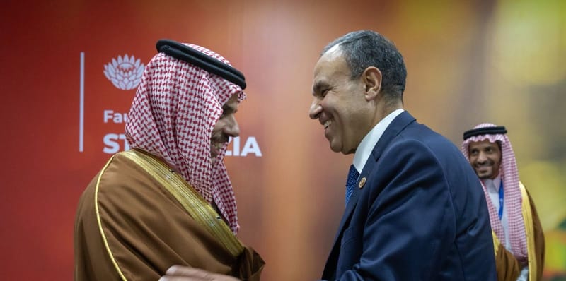 مصر والسعودية تؤكدان ضرورة وقف إطلاق النار واستئناف العملية السياسية في السودان