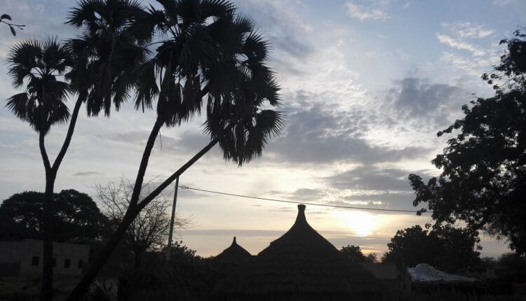 شبكة الأطباء تحذر من كارثة صحية وإنسانية وشيكة في الدلنج