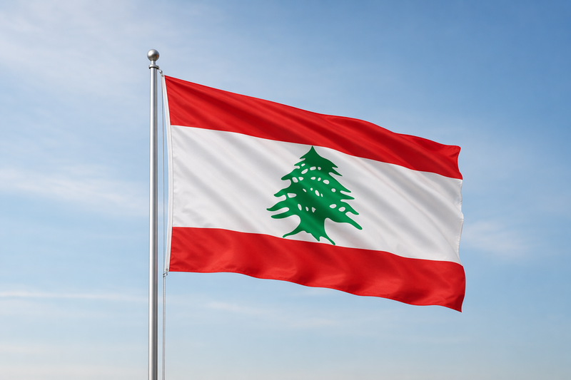 لبنان يتقدم بشكوى عاجلة لمجلس الأمن ضد إسرائيل