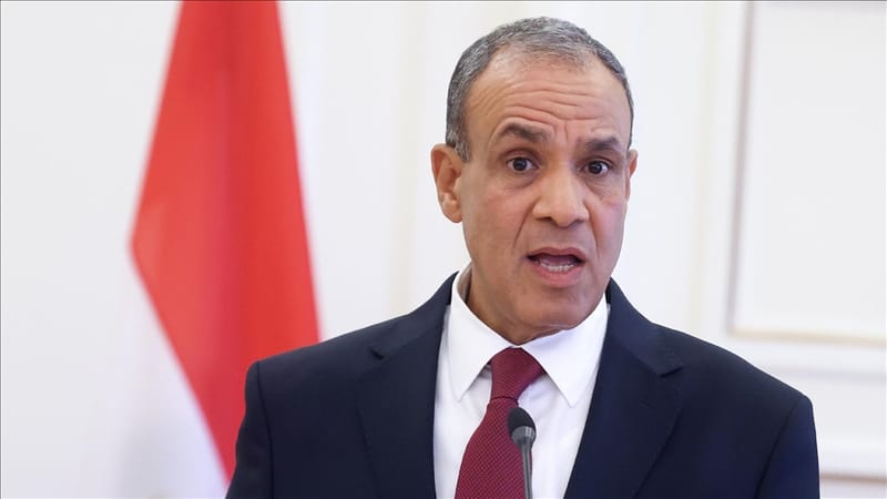 وزير الخارجية المصري ومدير الوكالة الذرية يبحثان المفاوضات الأمريكية الإيرانية