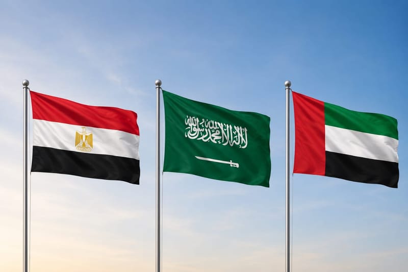 مشاورات مصرية سعودية إماراتية بشأن السودان