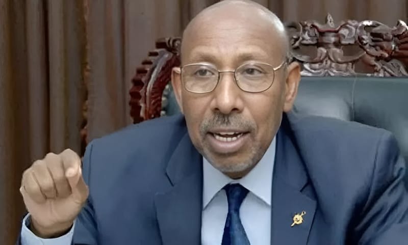وزير الري الأسبق: سدود إثيوبيا لا تهدد السودان إذا أُديرت بتنسيق