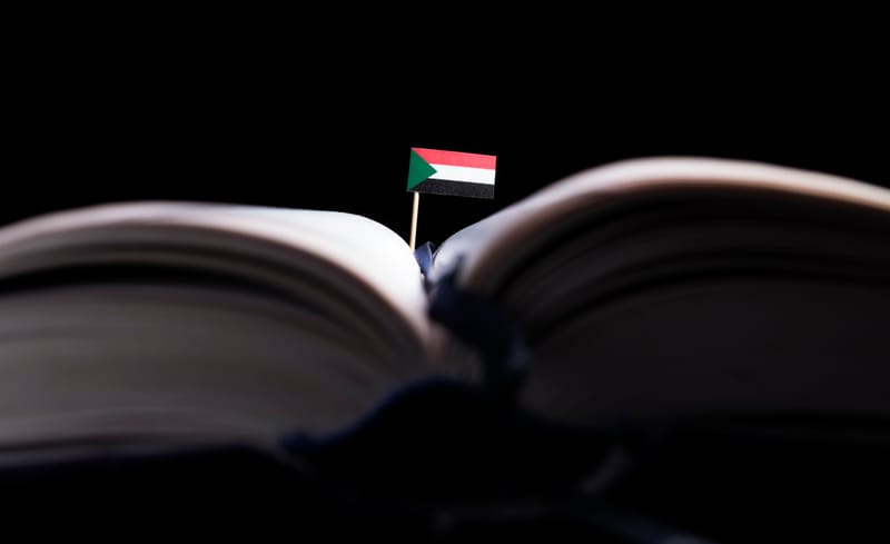 التعليم وكسر دائرة الفقر – السودان نموذجا