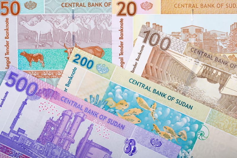 الجنيه يتراجع.. والأسواق السودانية تحت ضغط الغلاء