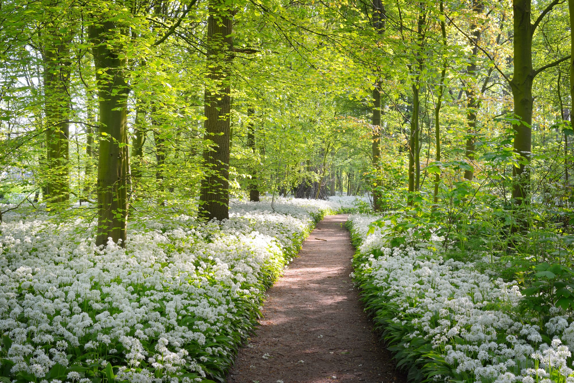 Buitenlessen vanaf maandag 7 april