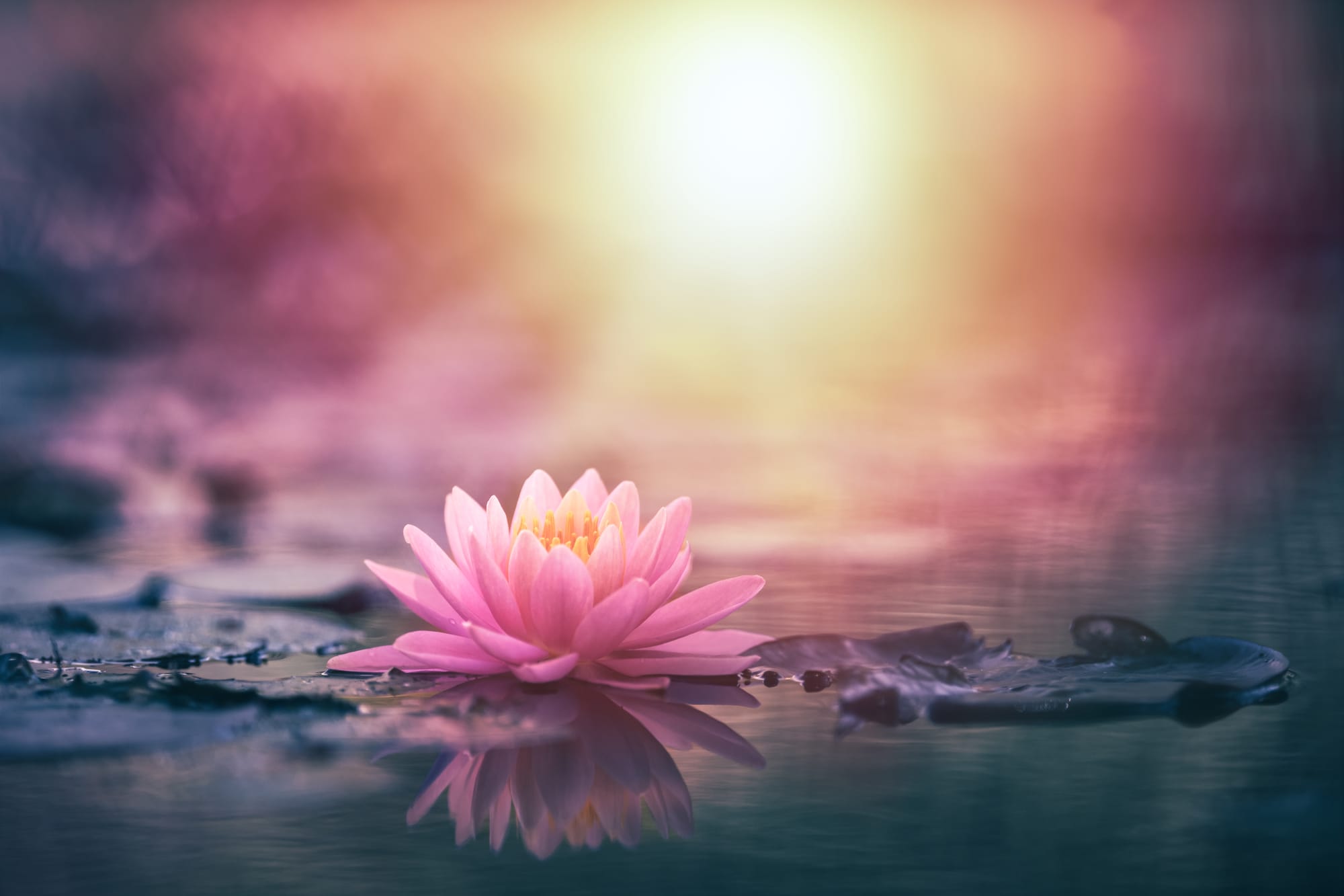 Sunrise Yoga zaterdag 23 augustus
