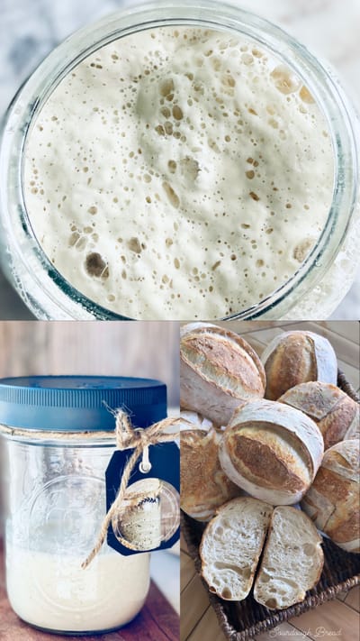 DEHYDRATED SOURDOUGH STARTER image