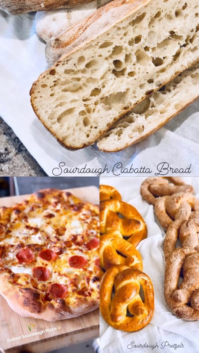 DEHYDRATED SOURDOUGH STARTER image