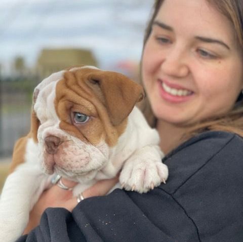 Considerations - Care - Costs