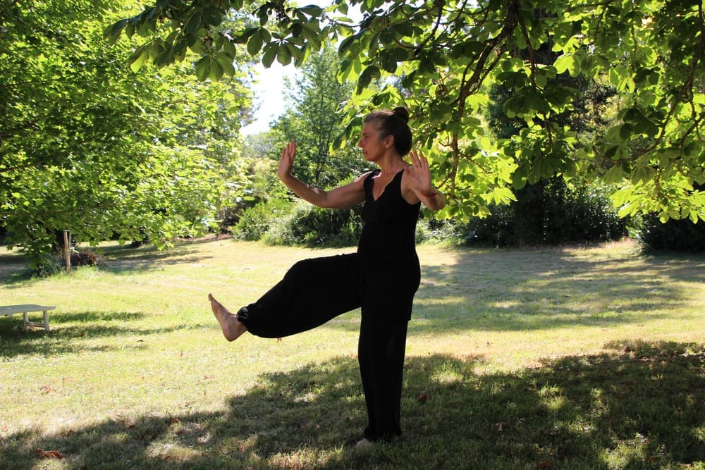 Cours de Tai Chi