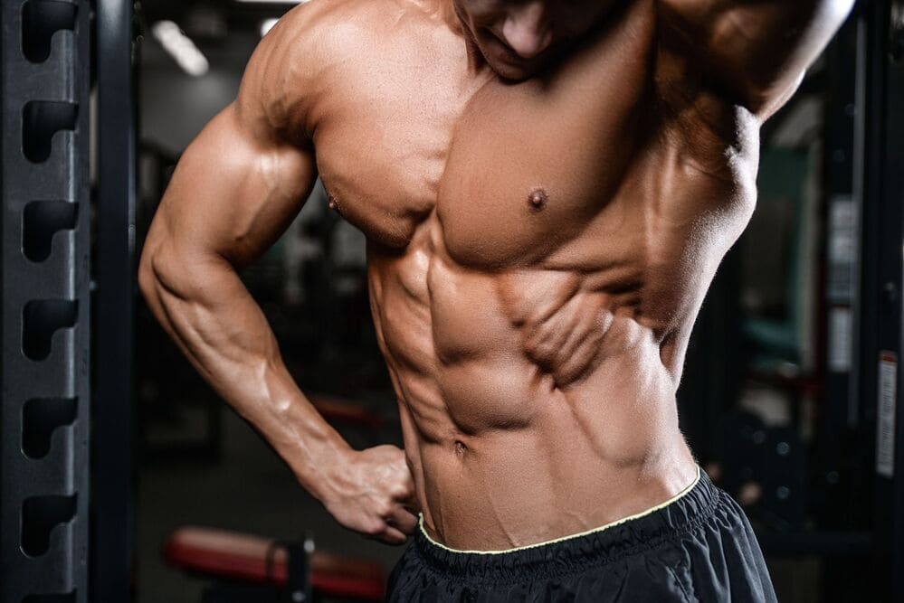 entraînement musculation débutant