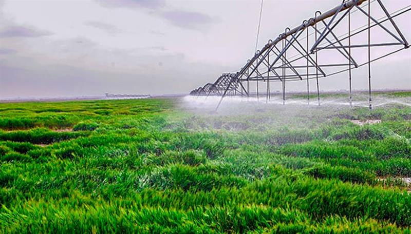 البرلمان يتحرك لاجراء 5 تغييرات تستهدف زيادة تصدير المحاصيل وتقليل هدر المياه