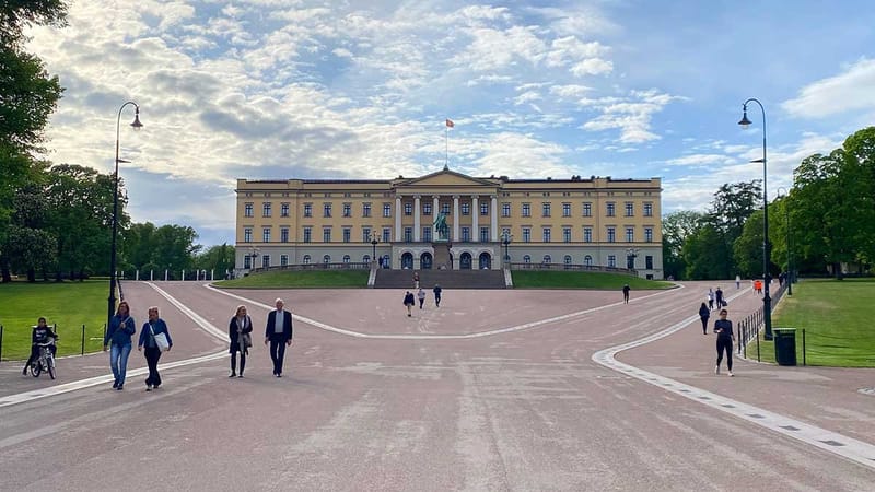 رجل على كرسي متحرك يلقي زجاجتي مولوتوف على القصر الملكي النرويجي