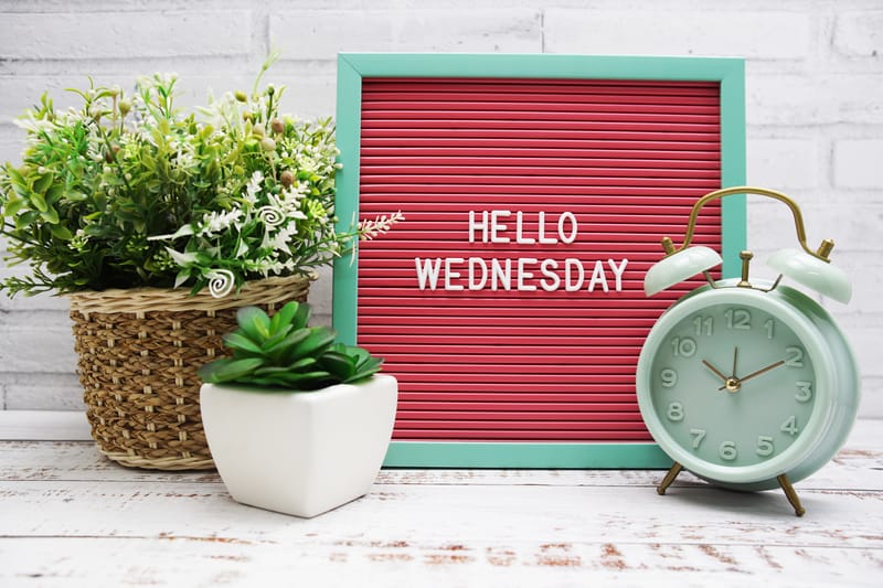Maia's Wed EMDR Consult Group 10am (MST) 9/23/26
