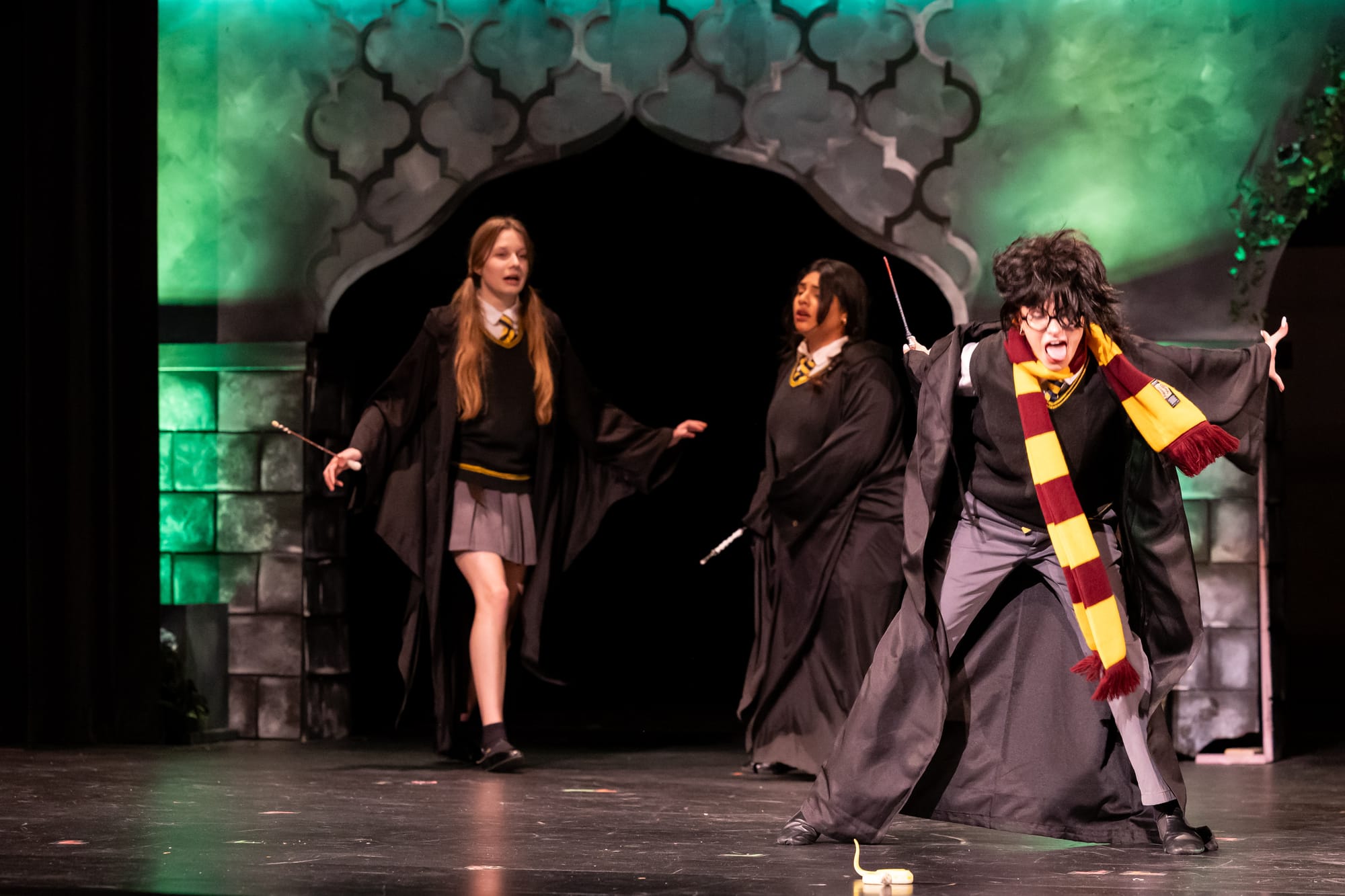 Puffs! - FALL - 2024