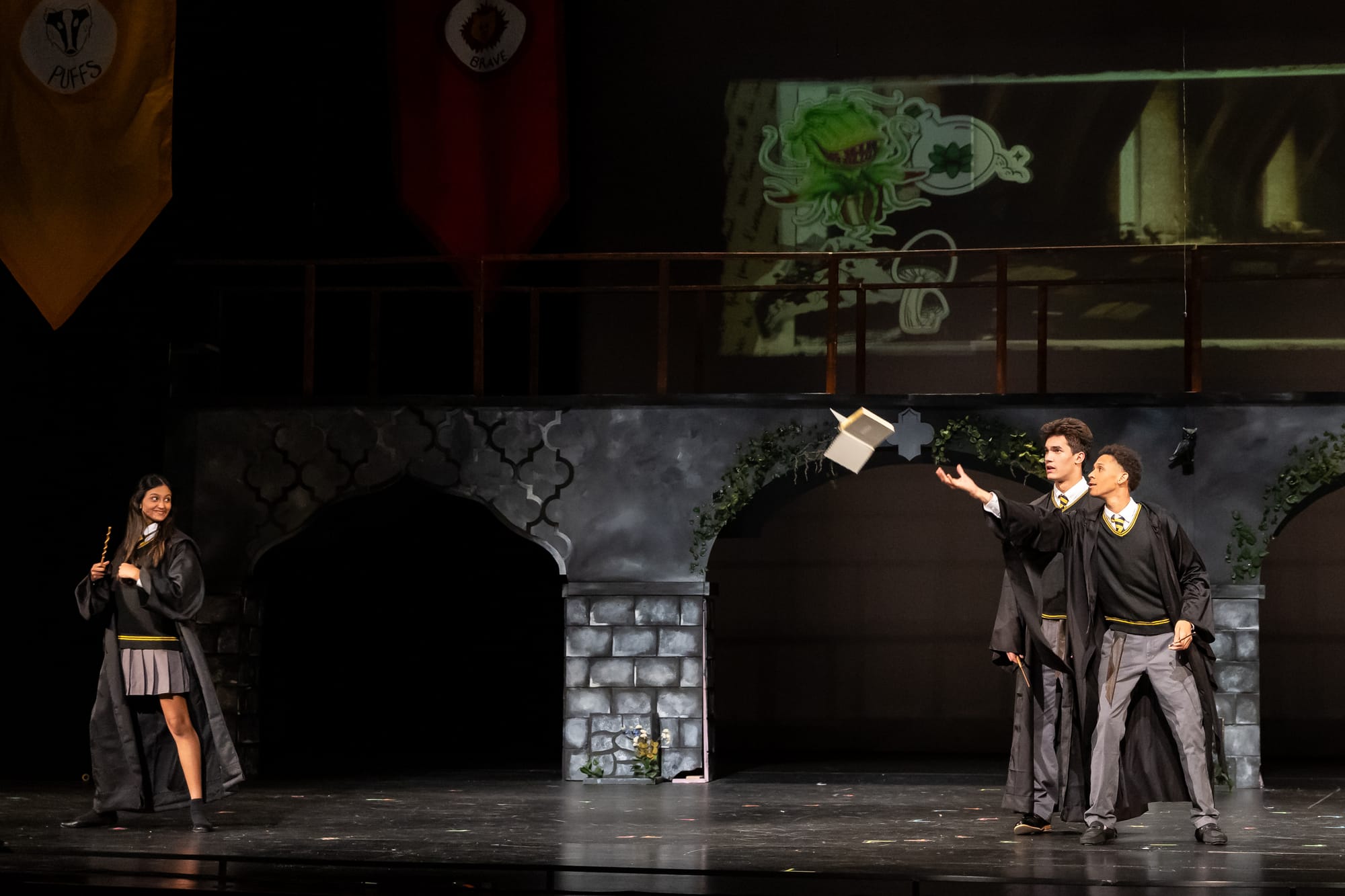 Puffs! - FALL - 2024