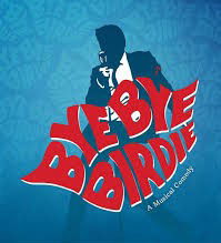 Bye Bye Birdie Auditions