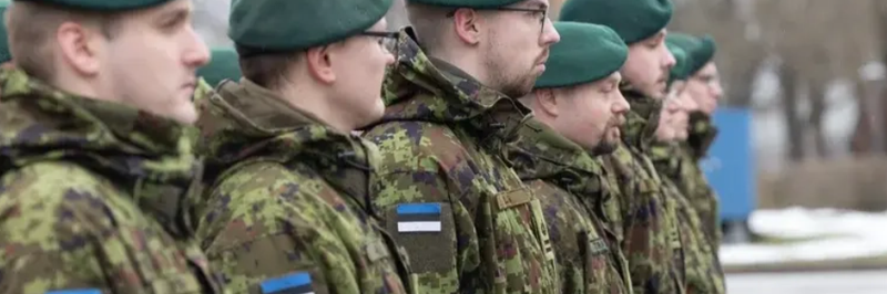 «Оборона от самой линии»: Эстония разворачивает дальнобойные системы и «элитные» бригады у границ РФ