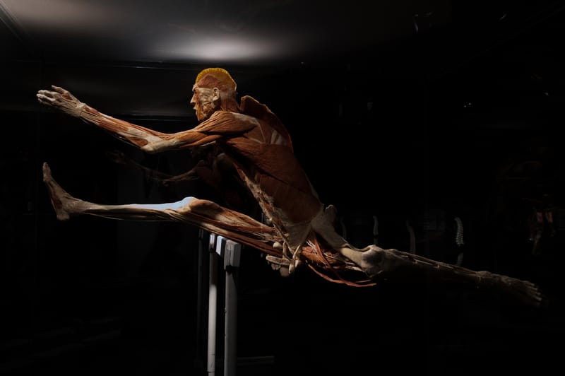 Body worlds