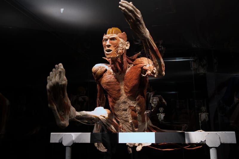 Body worlds