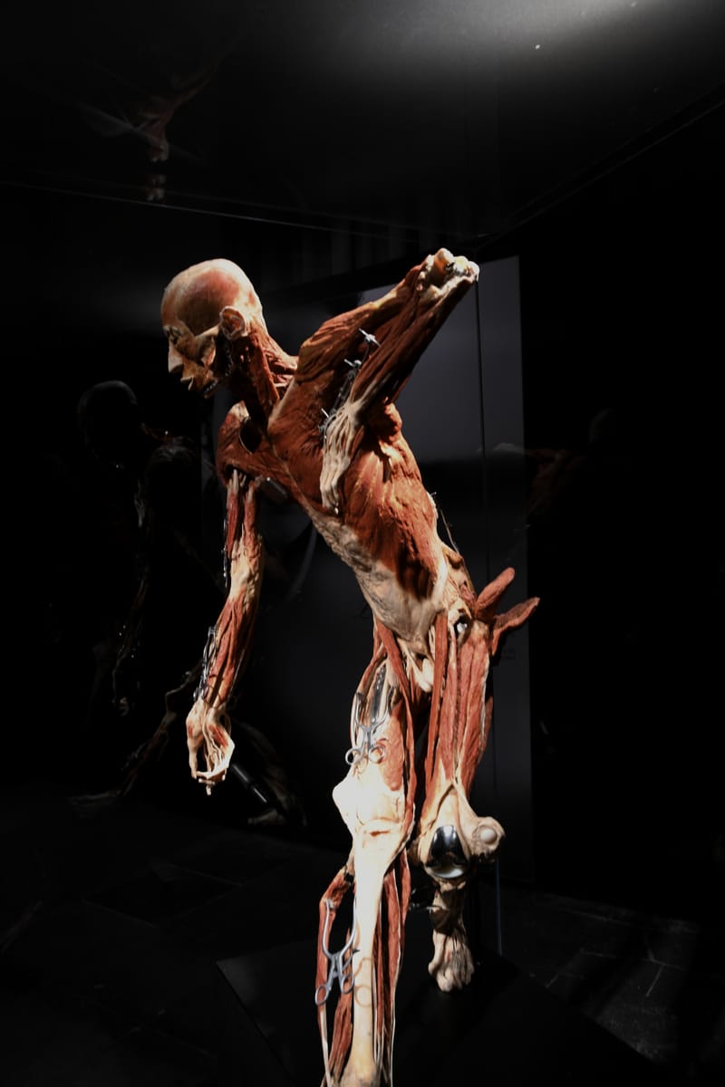 Body worlds