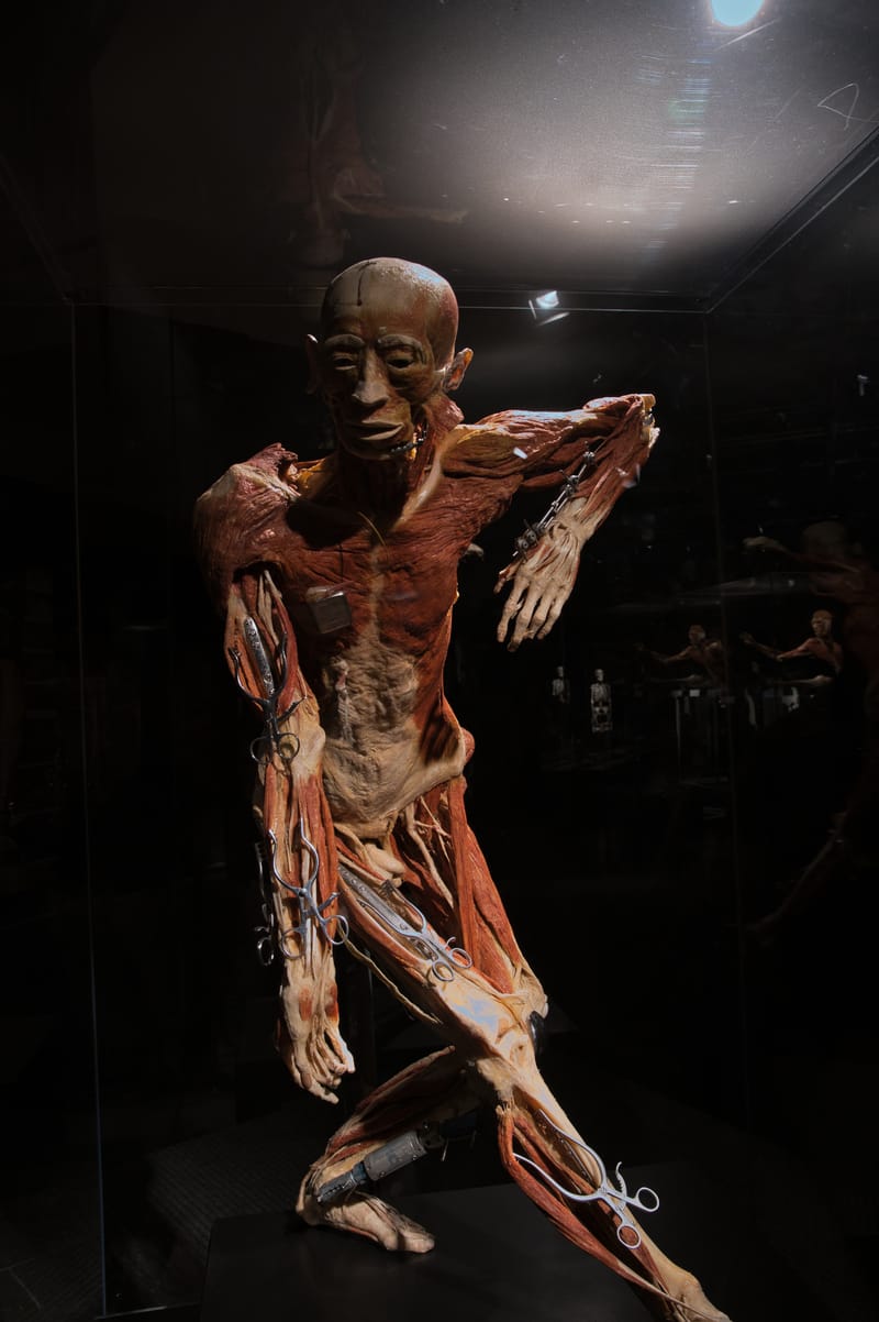 Body worlds