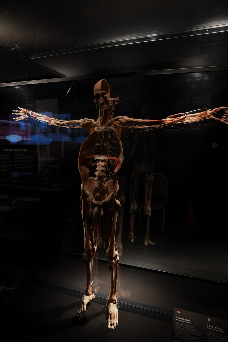 Body worlds