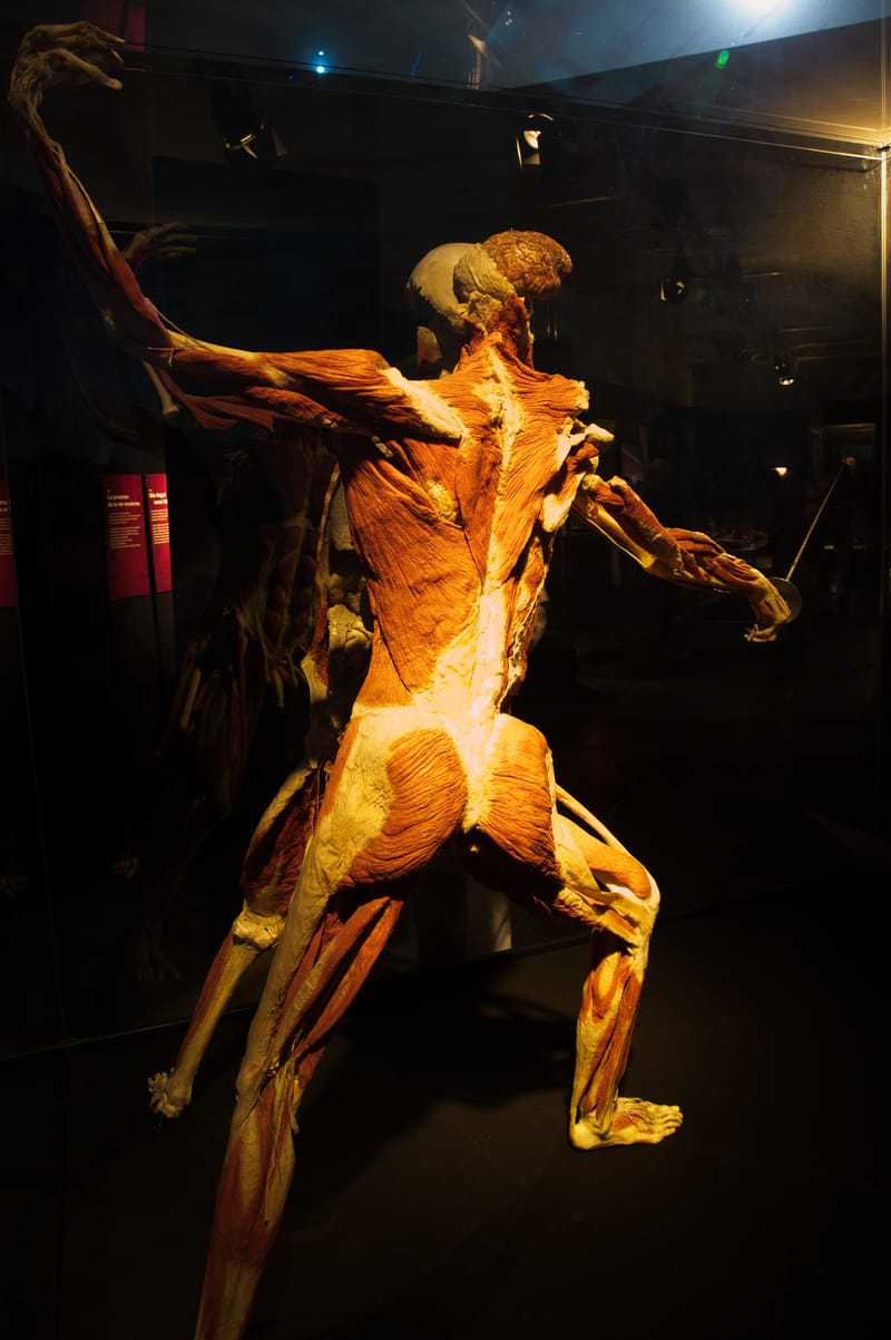 Body worlds