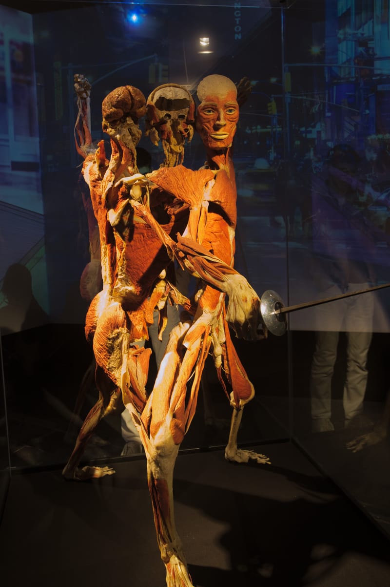 Body worlds