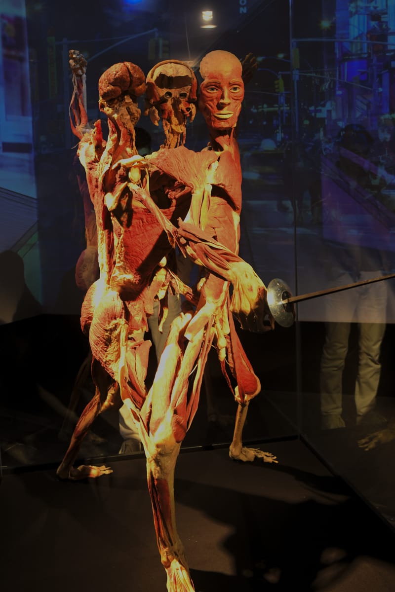 Body worlds