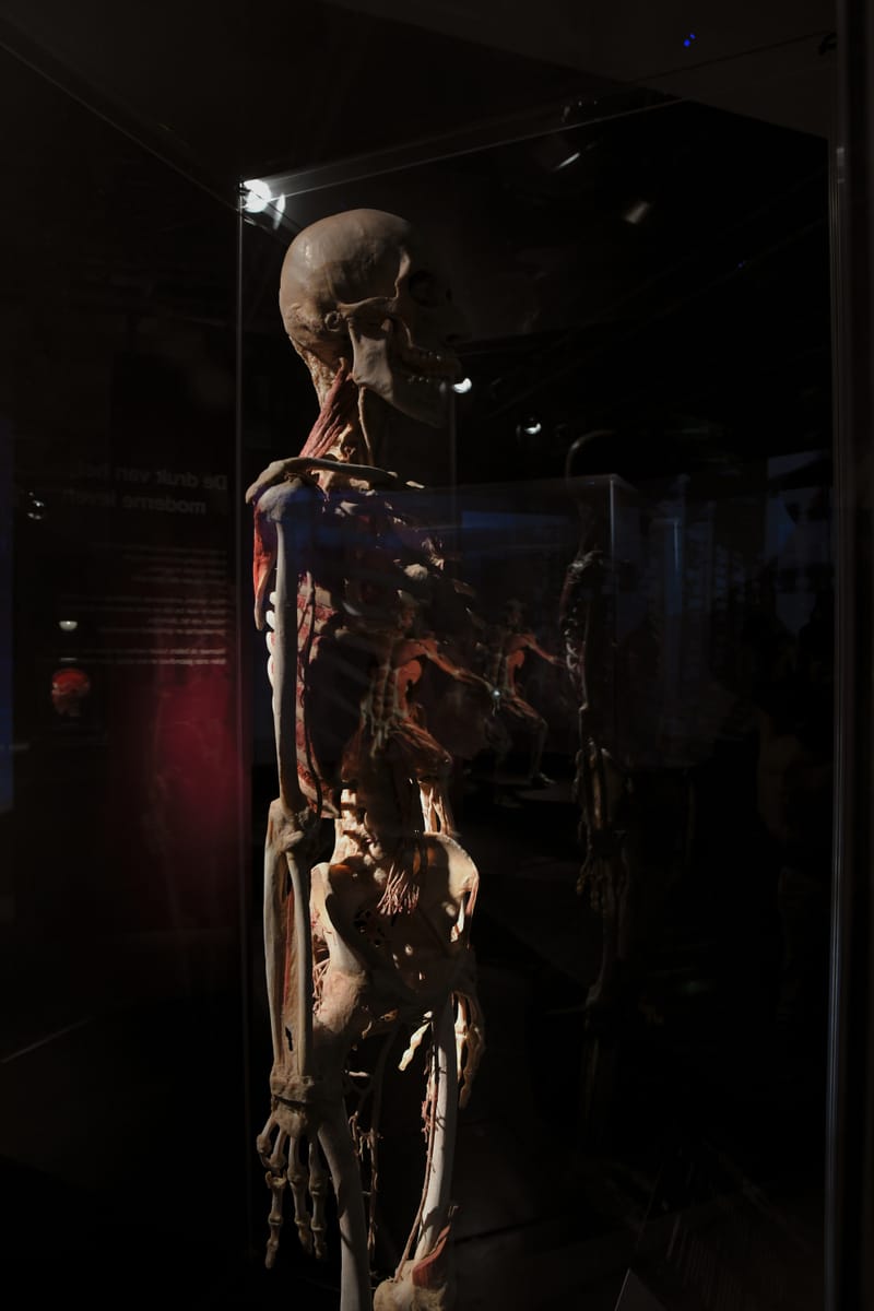 Body worlds