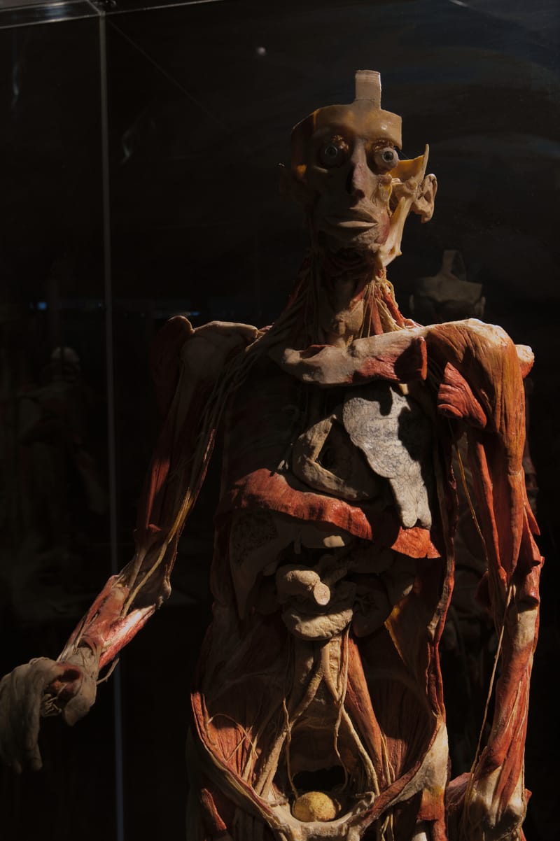 Body worlds