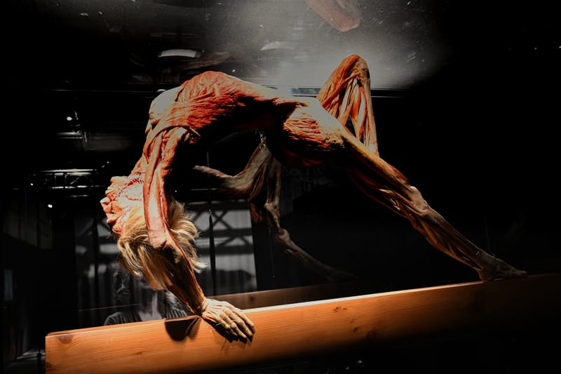 Body worlds