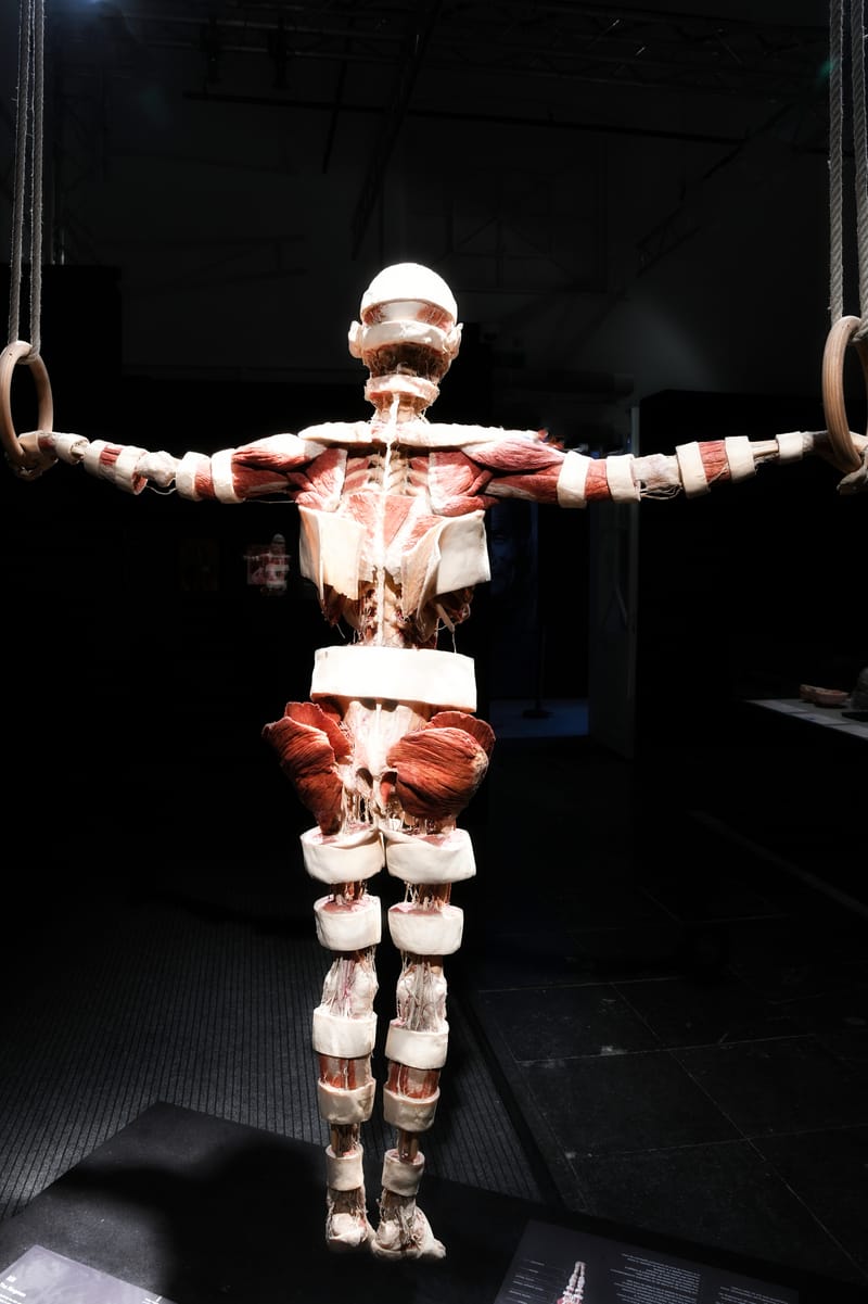 Body worlds