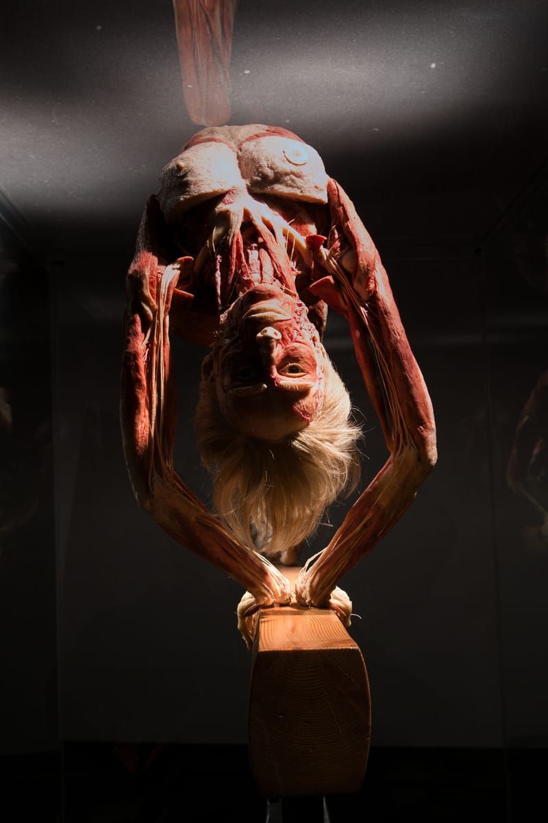 Body worlds