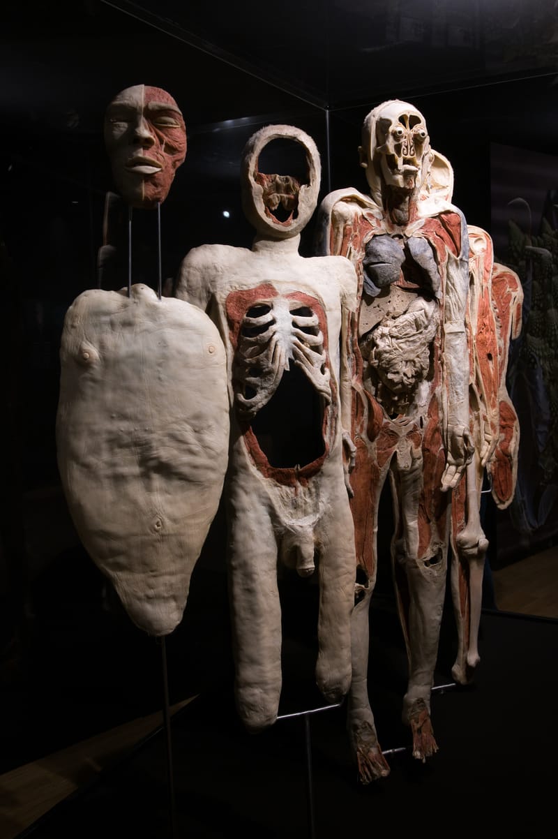 Body worlds
