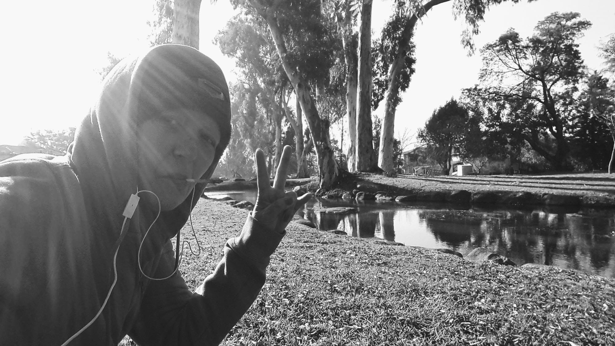 כאילו המכאוב -                        כתבה ללי גרציה 2017