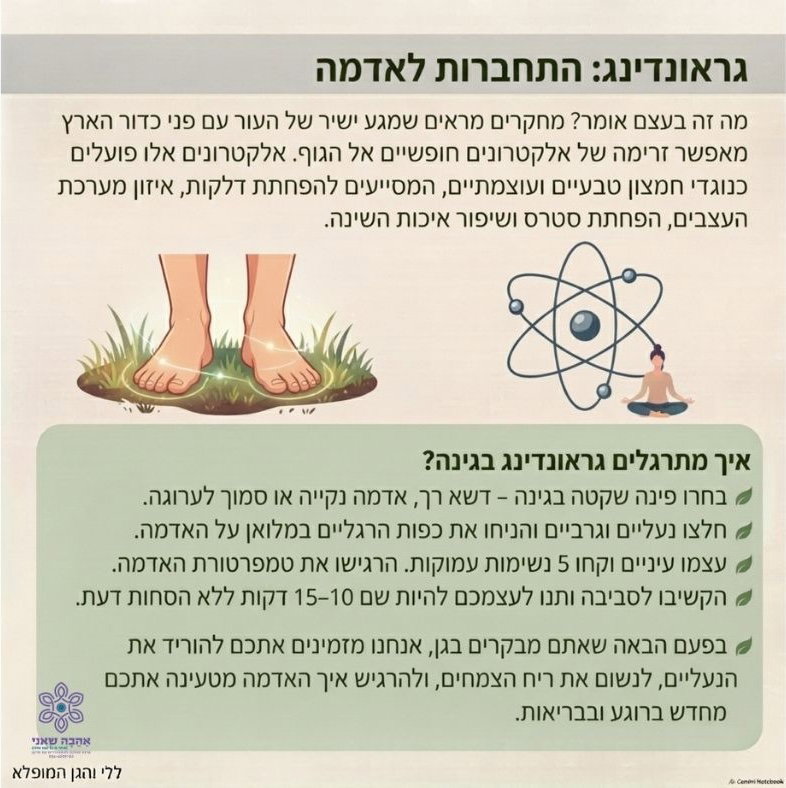 גראונדינג