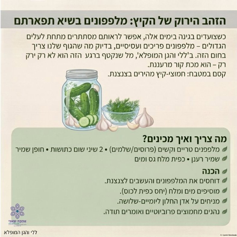 מלפפונים