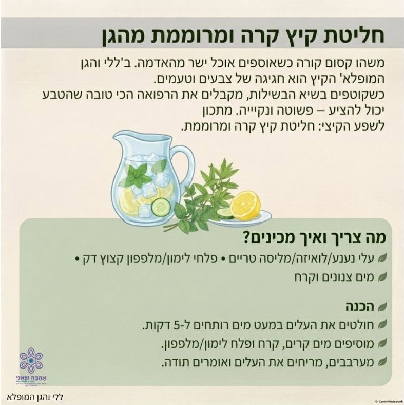 חליטת קיץ