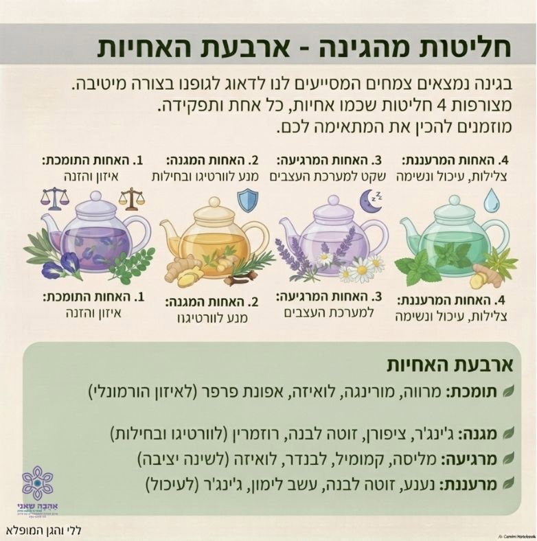 ארבעת האחיות