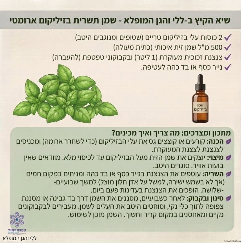 בזיליקום- שמן תשרית