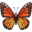 🦋