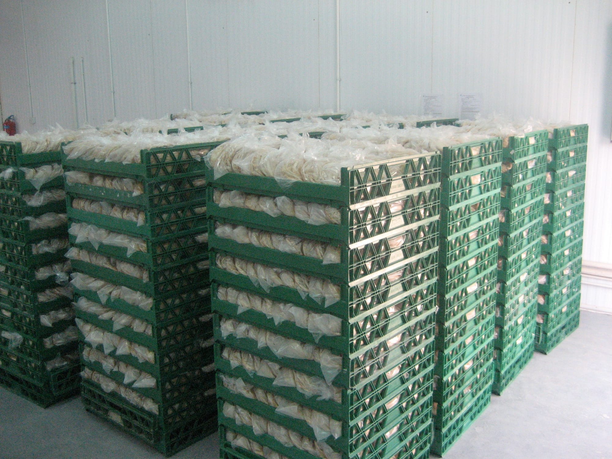 Dodsal Round Pocket Pita Project