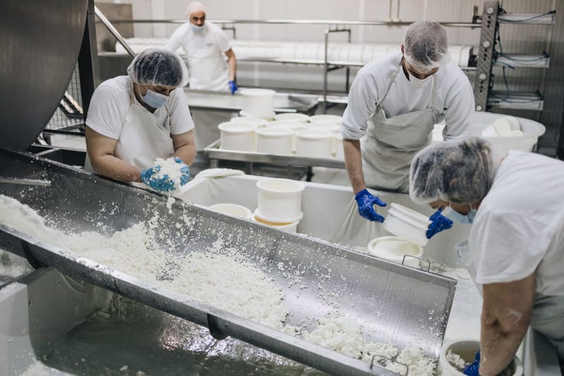 IN-HOUSE CHEESE & DAIRY PRODUCTION