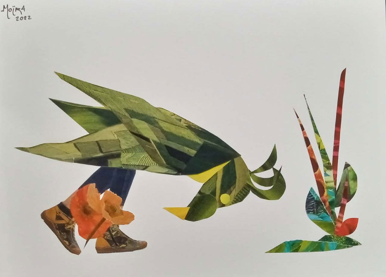 La marche de l'empereur